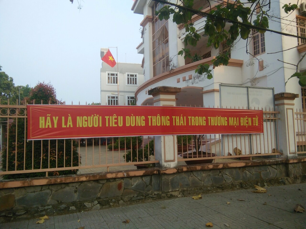 H QLTM T3 1.jpg