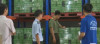 Kiểm tra liên ngành về an toàn vệ sinh thực phẩm trên địa bàn Thị xã Trảng Bàng
